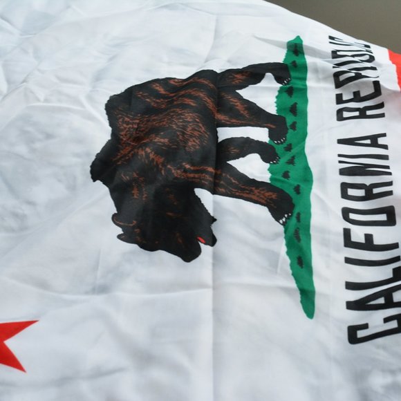 Large California Flag Wall Hanging - Picture 3 of 5